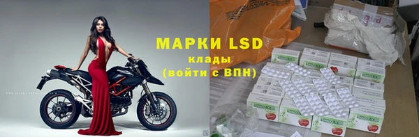 спайс Артём