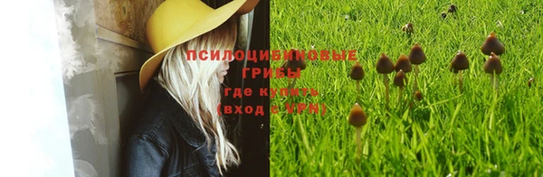 круглые Бородино